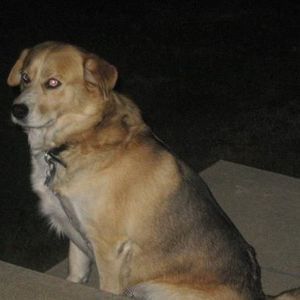 Meet your Posher, Lois